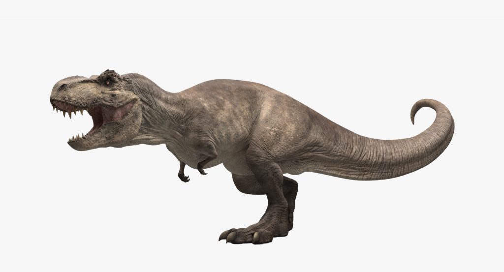 T-rex dinosaur could not have run at high speed, says study